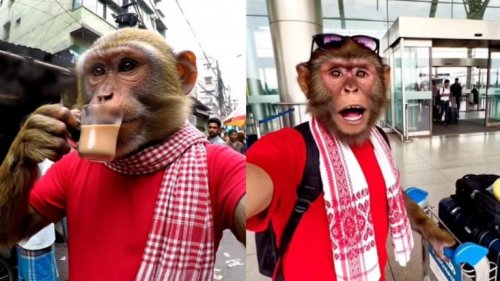 India’s AI YouTube Channel ‘Bandar Apna Dost’ Tops Global Charts, Earns Rs 38 Crores